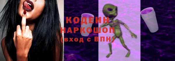 шишки Горнозаводск